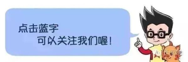 宏发证券 事发成都街头，全网点赞！