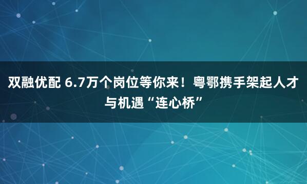 双融优配 6.7万个岗位等你来！粤鄂携手架起人才与机遇“连心桥”